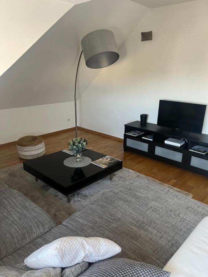 Bel Appartement Centre Climatise Parking Prive Colmar Luaran gambar