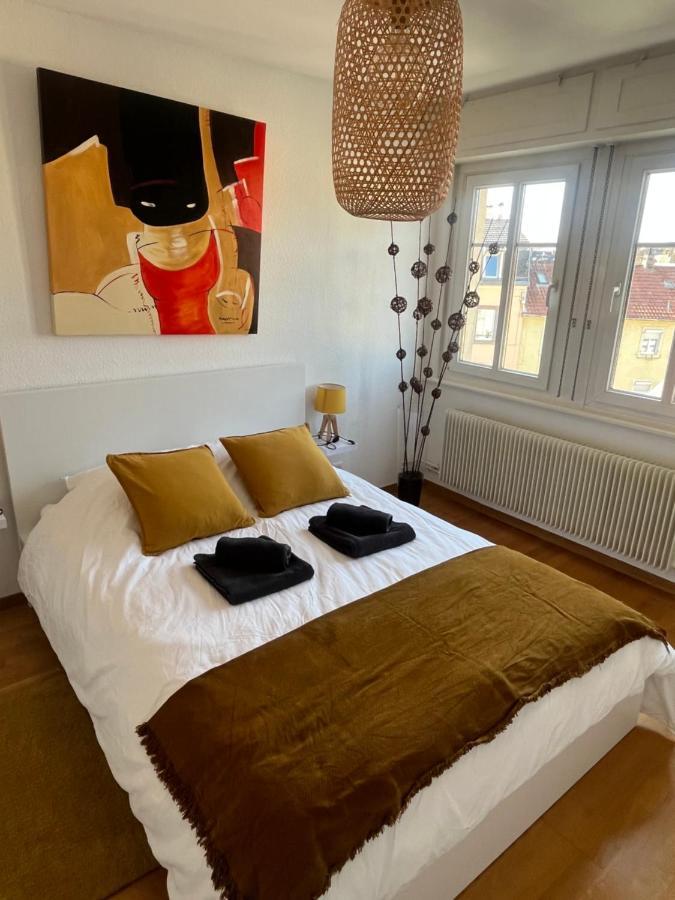 Bel Appartement Centre Climatise Parking Prive Colmar Luaran gambar