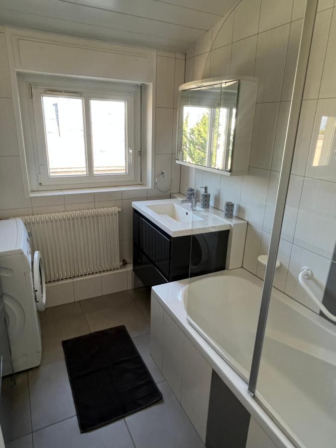 Bel Appartement Centre Climatise Parking Prive Colmar Luaran gambar