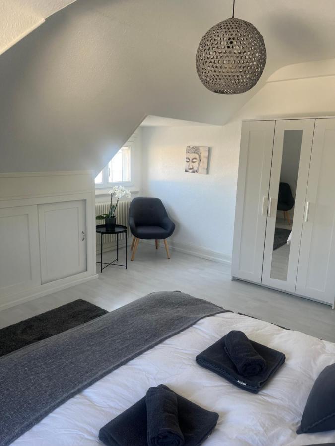 Bel Appartement Centre Climatise Parking Prive Colmar Luaran gambar