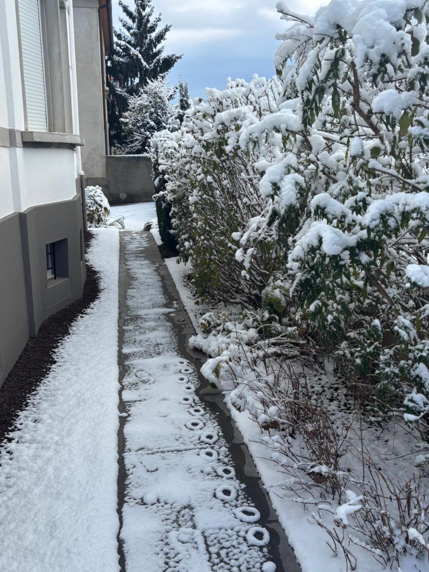 Bel Appartement Centre Climatise Parking Prive Colmar Luaran gambar